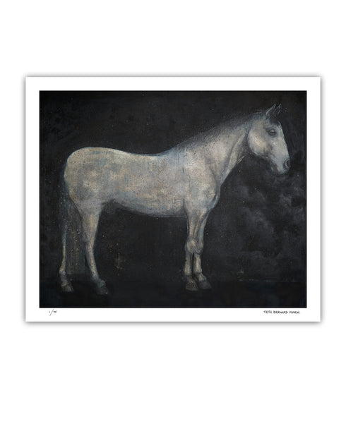Horse | Limited Edition Prints